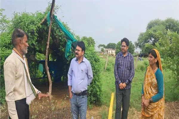 हरियाली और नर्सरी की छायादार संरचना के पास खड़ी एक महिला से बातचीत करते तीन पुरुष